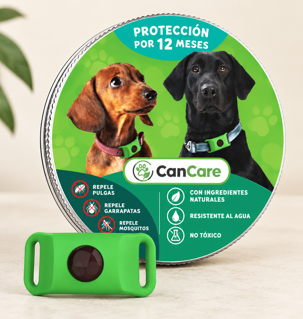 12 meses libre de pulgas y garrapatas