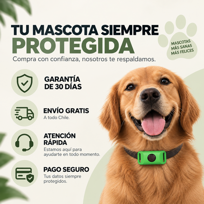 12 meses libre de pulgas y garrapatas